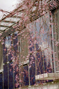 sanierung und erweiterung eines einfamilienhauses amselweg / krailling